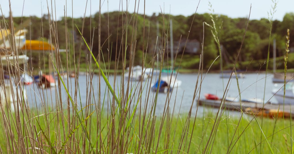 Our Green Boatyard