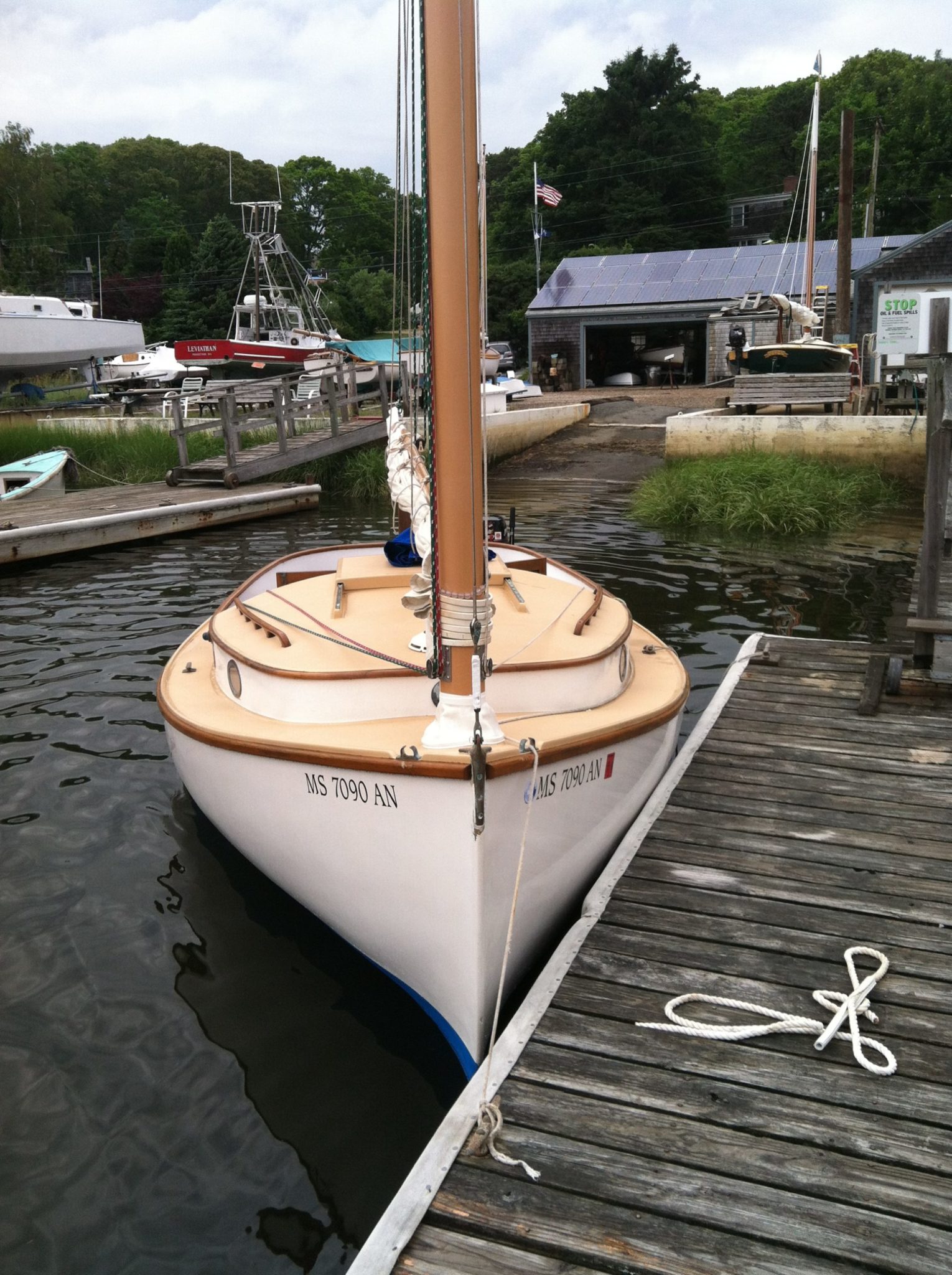 Marshall Sanderling Arey